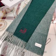 Loewe Bicolour Scarf Cashmere In Green/Gray