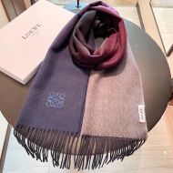 Loewe Degrade Cashmere Scarf In Navy Blue/Gray