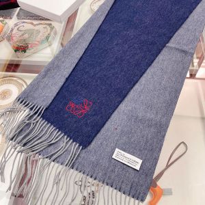 Loewe Bicolour Scarf Cashmere In Navy Blue/Gray