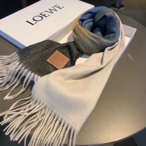 Loewe Color Block Cashmere Scarf In Dark Gray/Multicolor