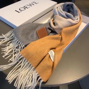 Loewe Color Block Cashmere Scarf In Gray/Multicolor