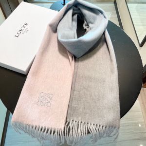 Loewe Degrade Cashmere Scarf In Cherry/Gray