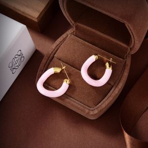 Loewe Waves Hoops Earrings Metal with Enamel Pink/Gold